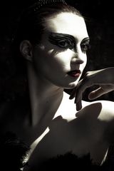 Black swan4