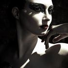 Black swan4