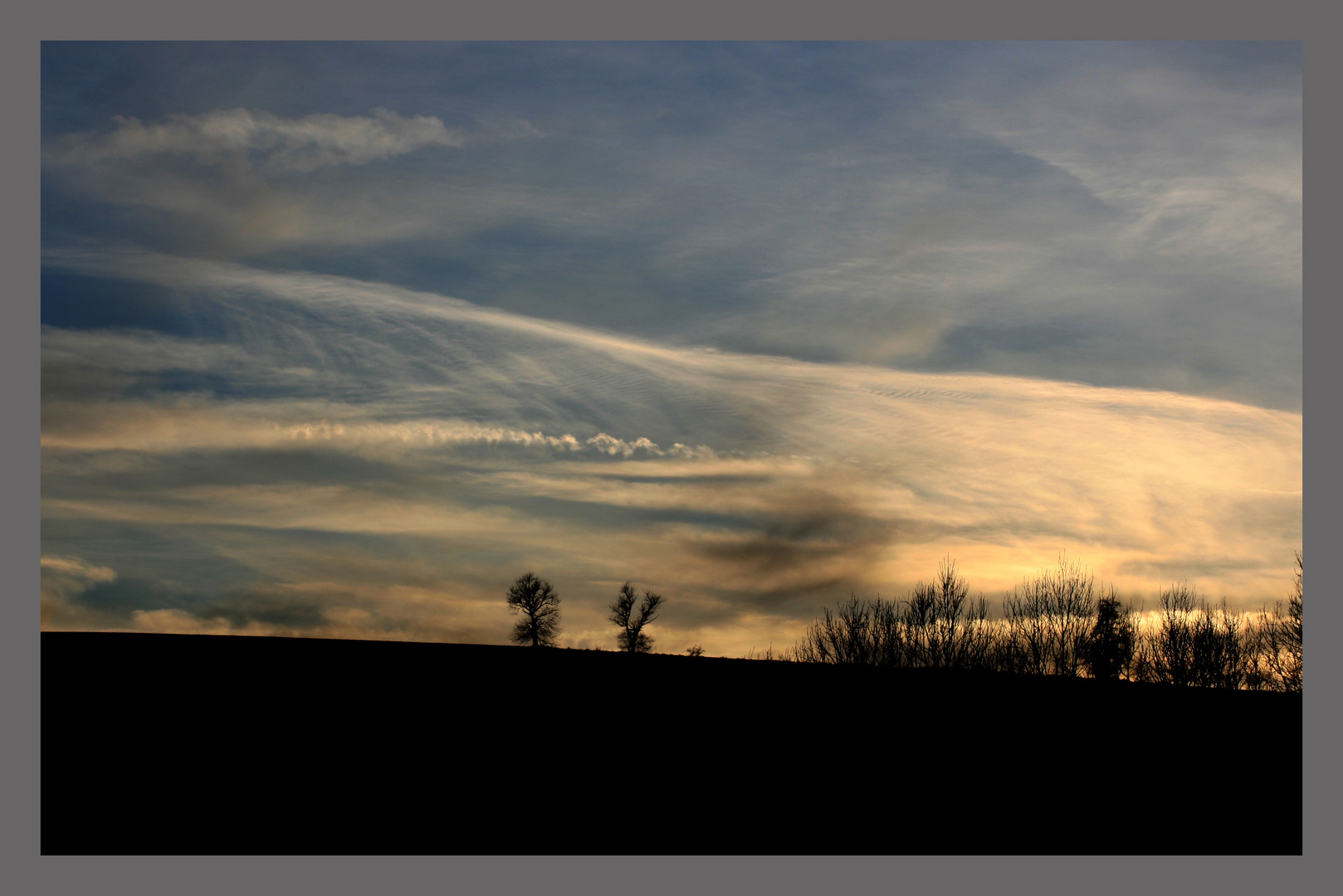 Black trees and clouds