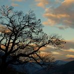 black weaves in the sky