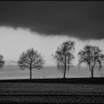 Black & White