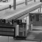 Black White & Beauty at Train-Station