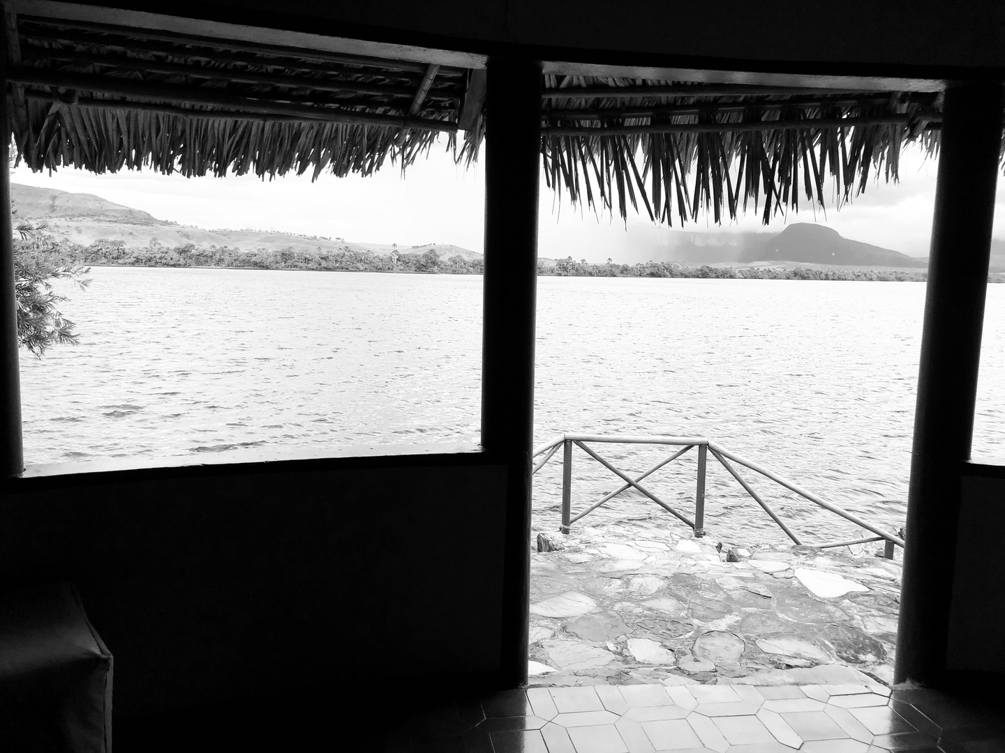 Black & white Canaima