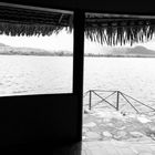 Black & white Canaima