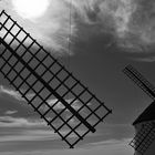 Black & White Friday Windmills