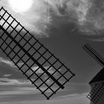 Black & White Friday Windmills