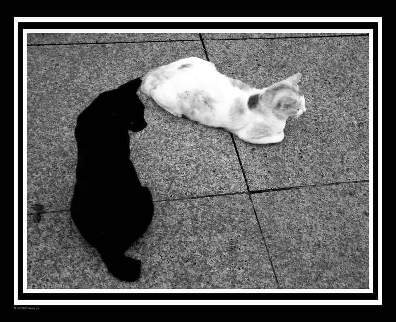 black white friendship ii