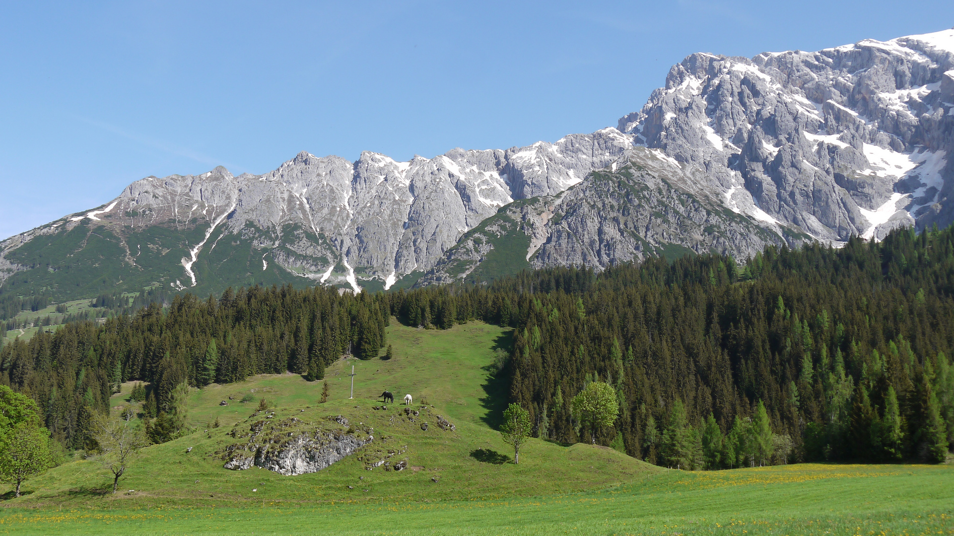 Black & White Horses,Hochkönig