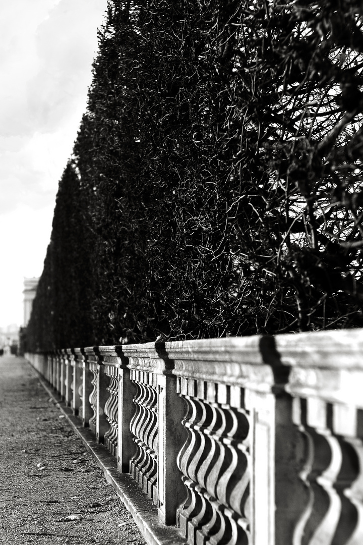 Black & White im Schönbrunn