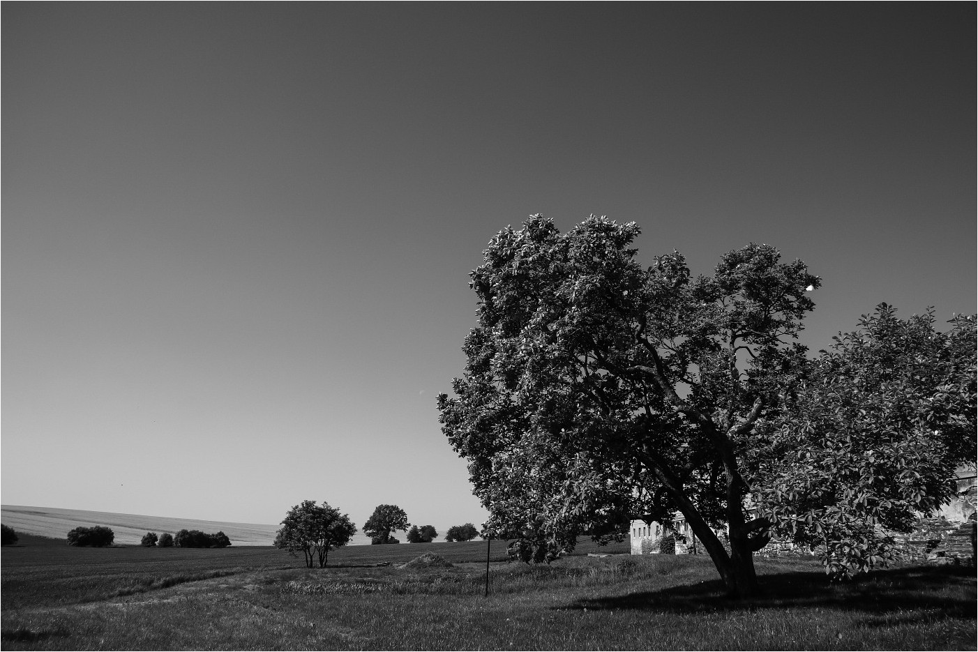 Black & White Landscape