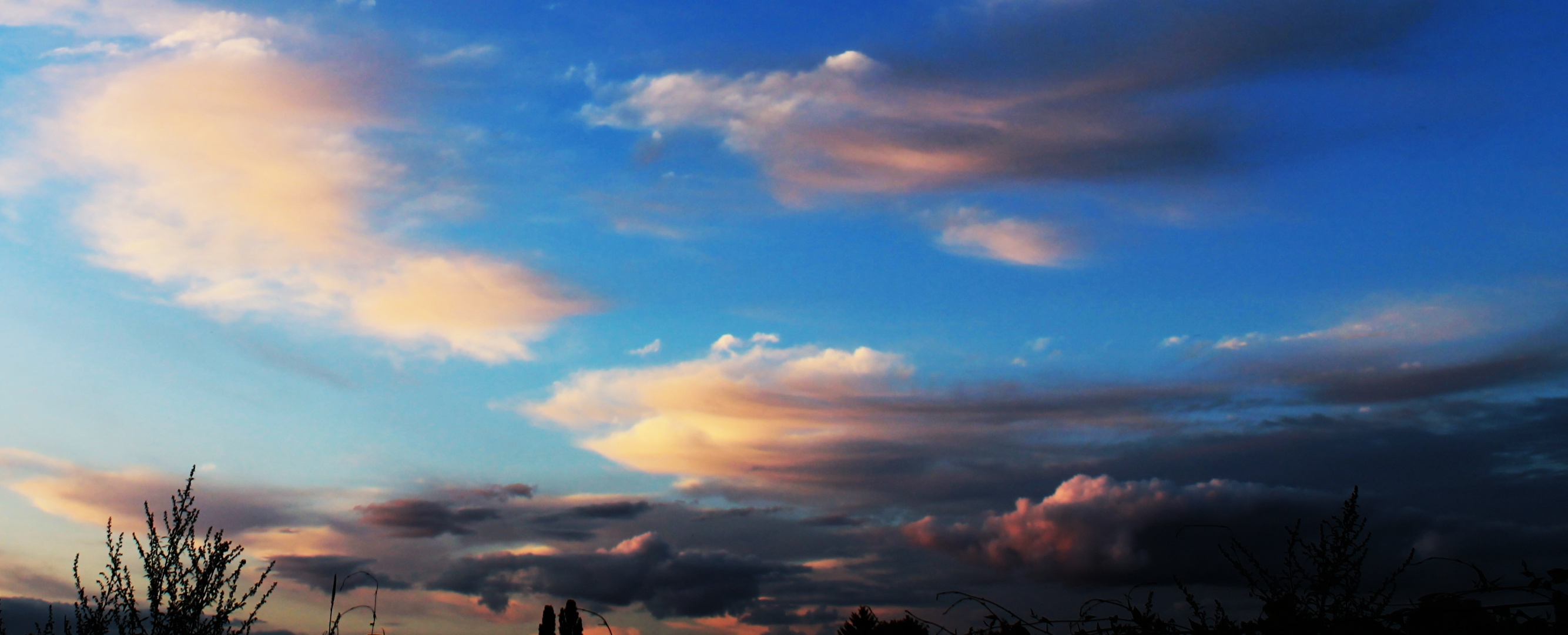 Black white und Blue