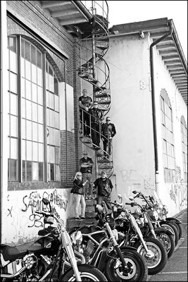 Black Wolves Schweiz