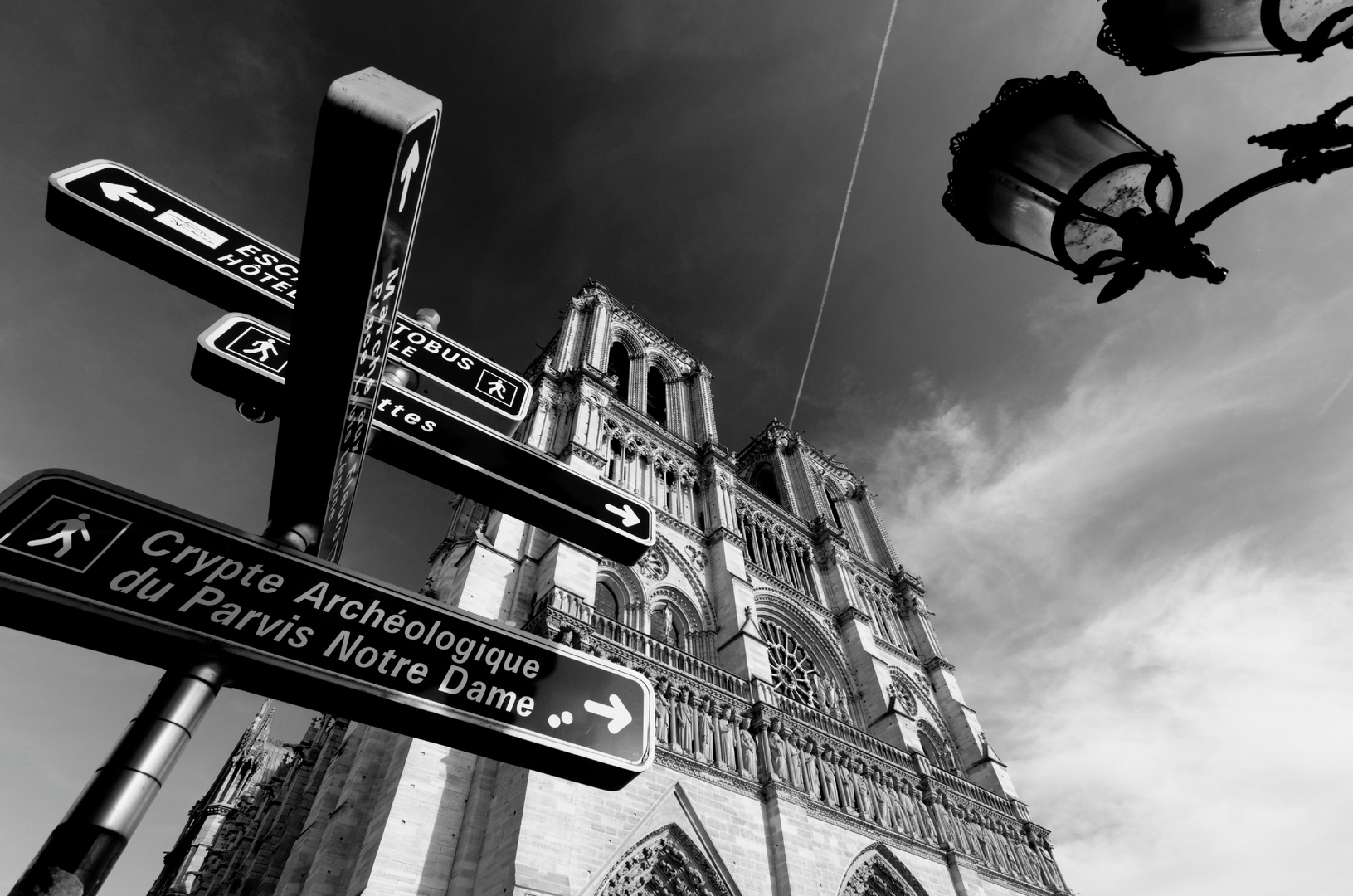 BlackandWhite Notre Dame