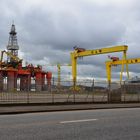 Blackford Dolphin in Belfast