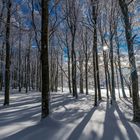 Blackforest Winter