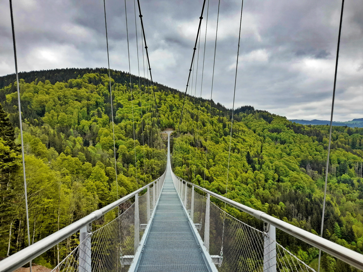 Blackforestline bei Todtnau