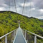 Blackforestline bei Todtnau