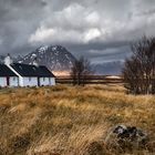 Blackrock Cottage