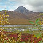 Blackstone Mountains am Dempster Highway/Yukon T./Canada