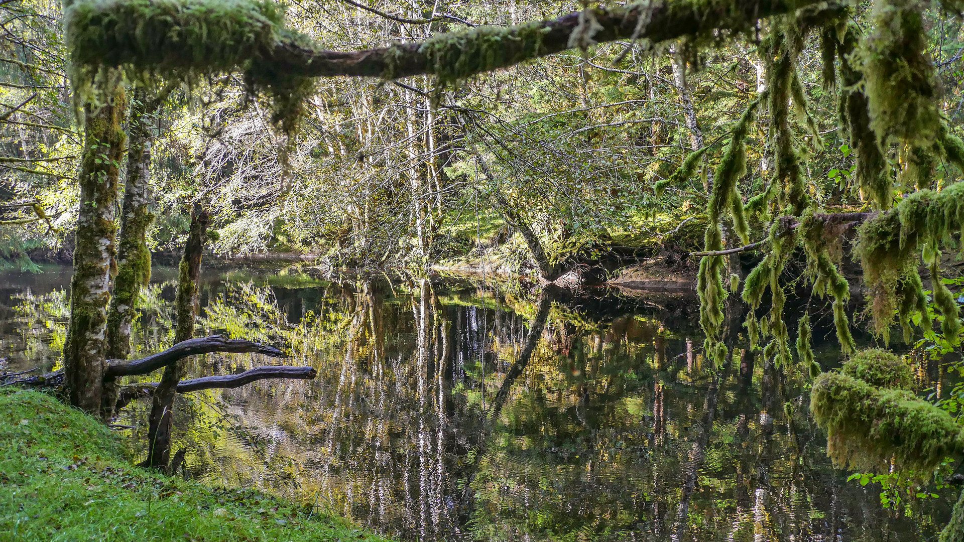 Blackwater Pool