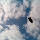 Black/White kite