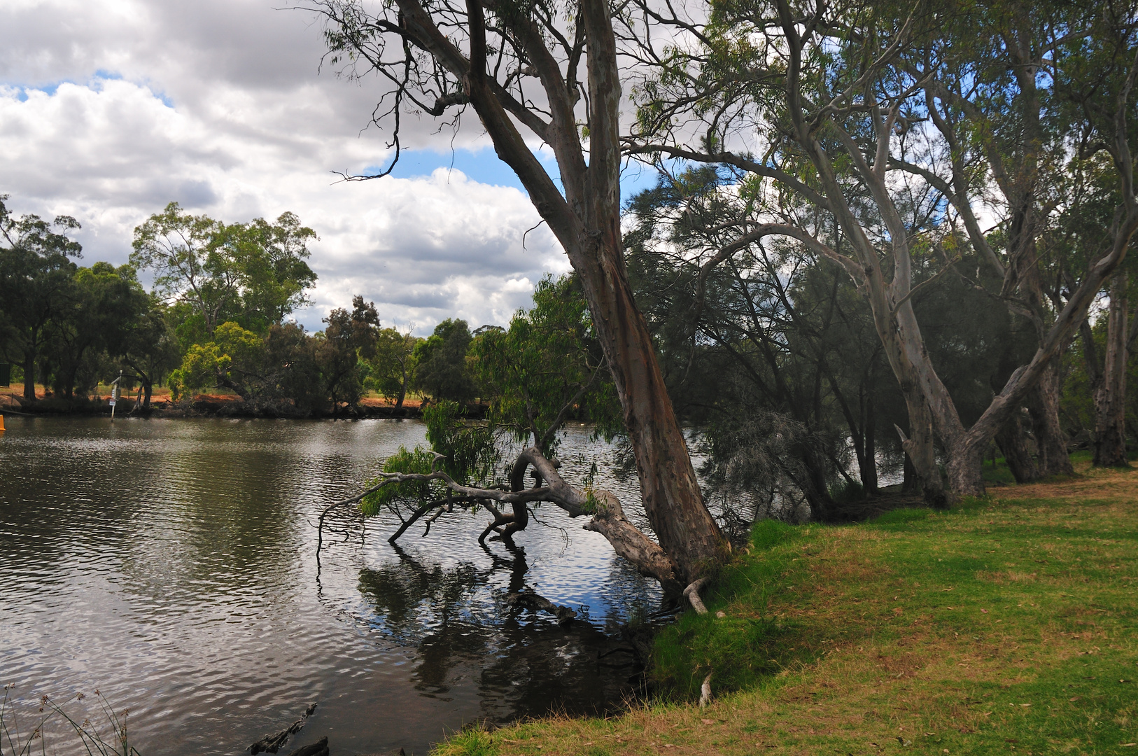 Blackwood River Fishing Spot