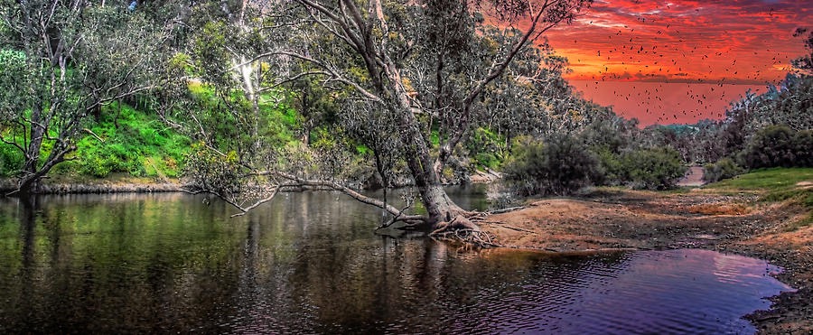 Blackwood River Walk, Bridgetown