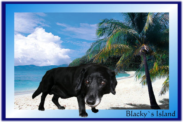 Blacky`s Island