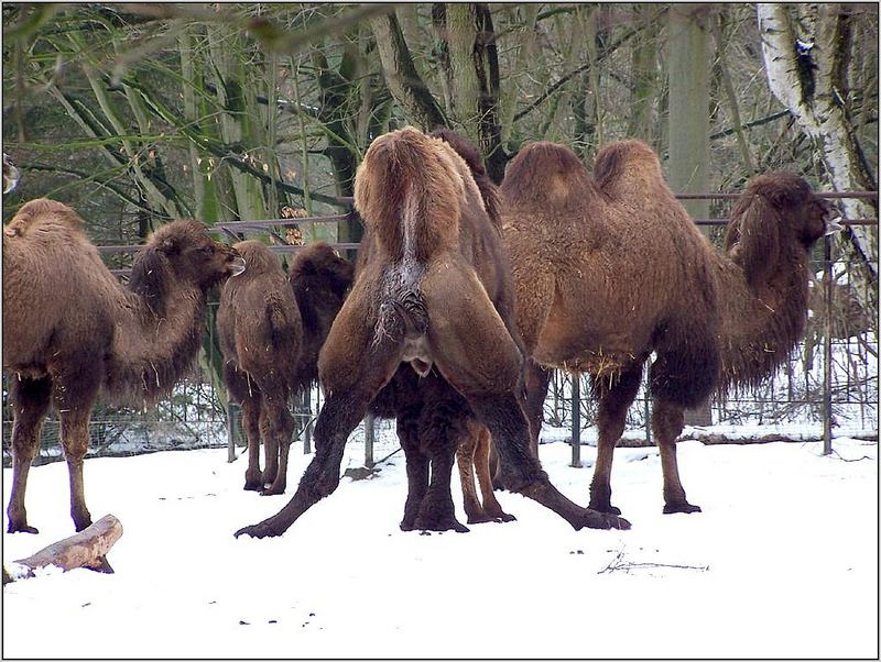 Blähungen und falsche Freunde