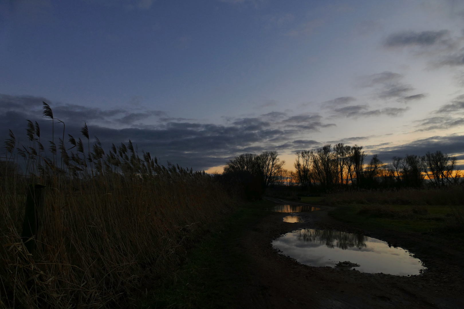 Blänken im Abendlicht