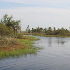 Blänken im Hochmoor