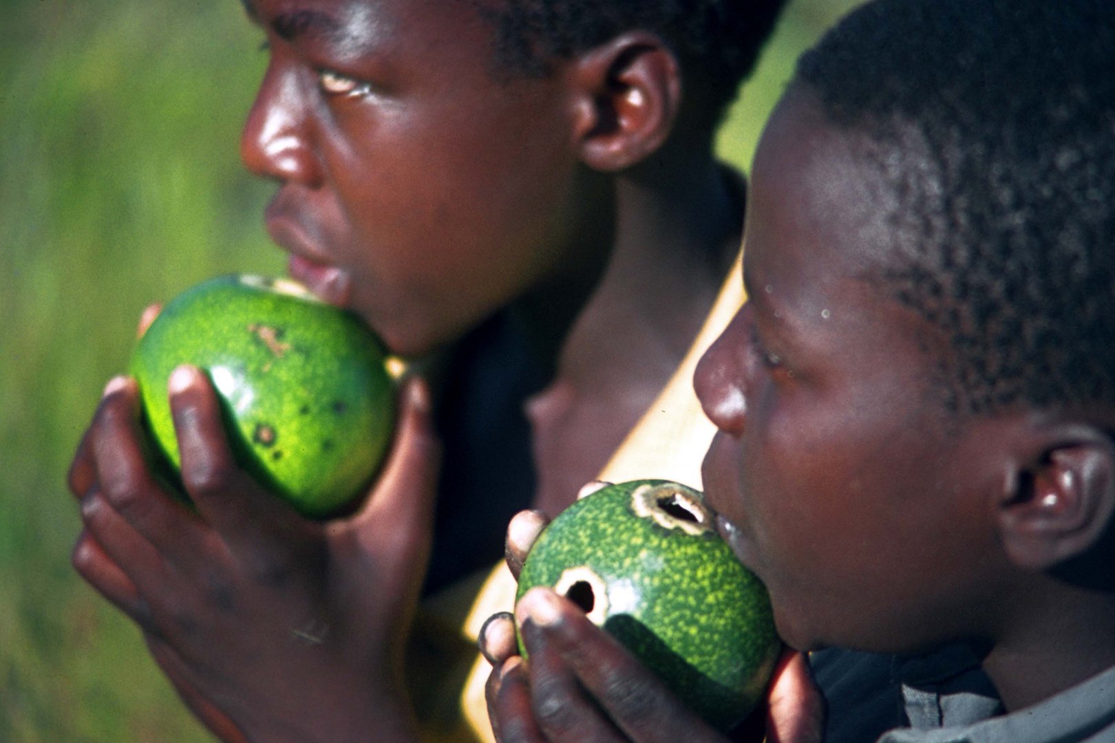 Bläserduo, Zimbabwe