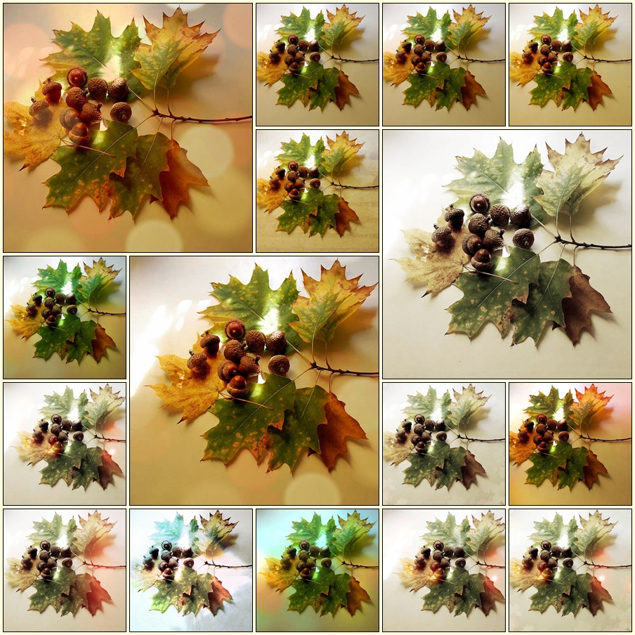 Blätter-Collage