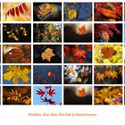 Blätter, die den Herbst bedeuten.......