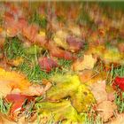 Blätter fallen bunt...