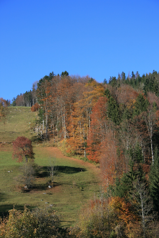 Blätter fallen lassen, Blätter liegen lassen, Zeit haben