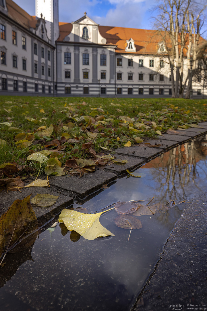 Blätter im Fronhof