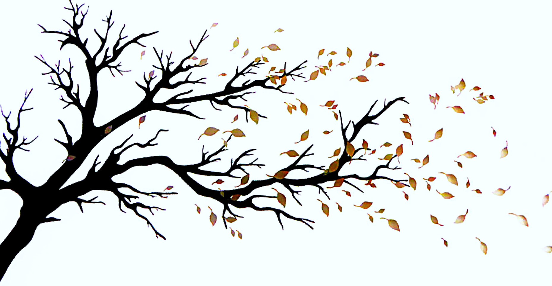 Blätter im Wind Foto & Bild | outdoor, natur, herbst Bilder auf