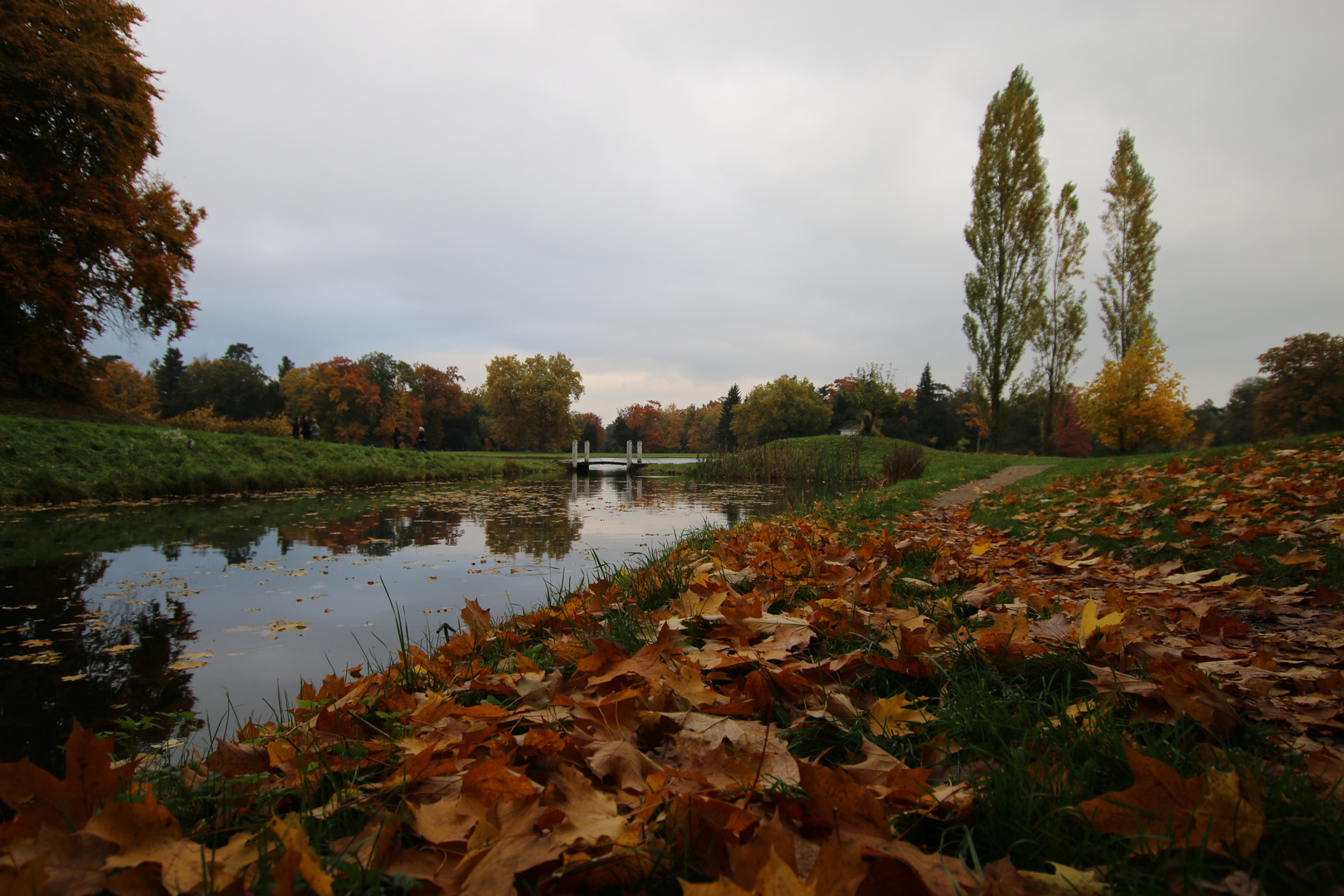 Blätter im Wörlitzer Park