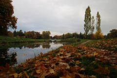 Blätter im Wörlitzer Park