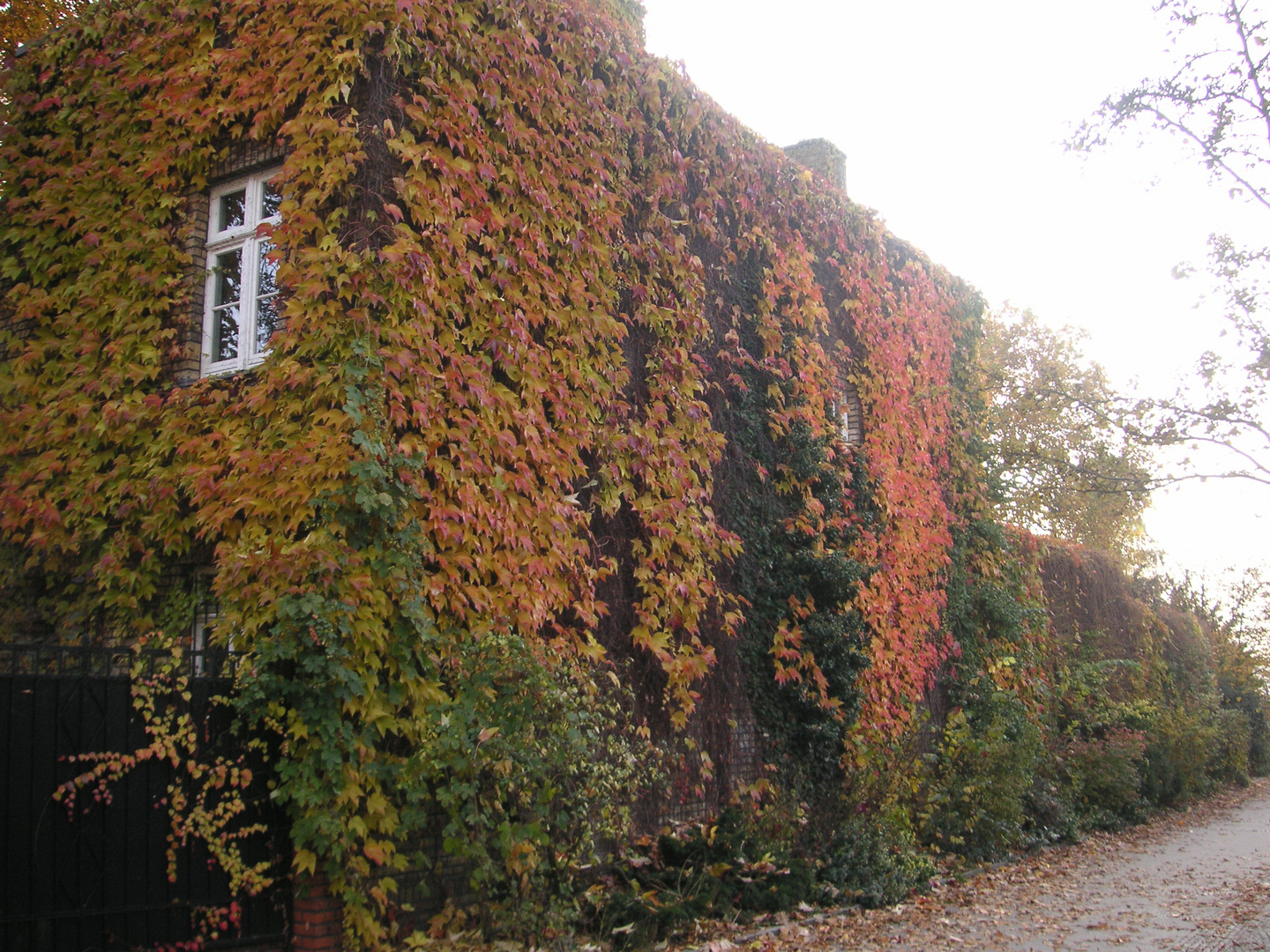 ...Blätterhaus...