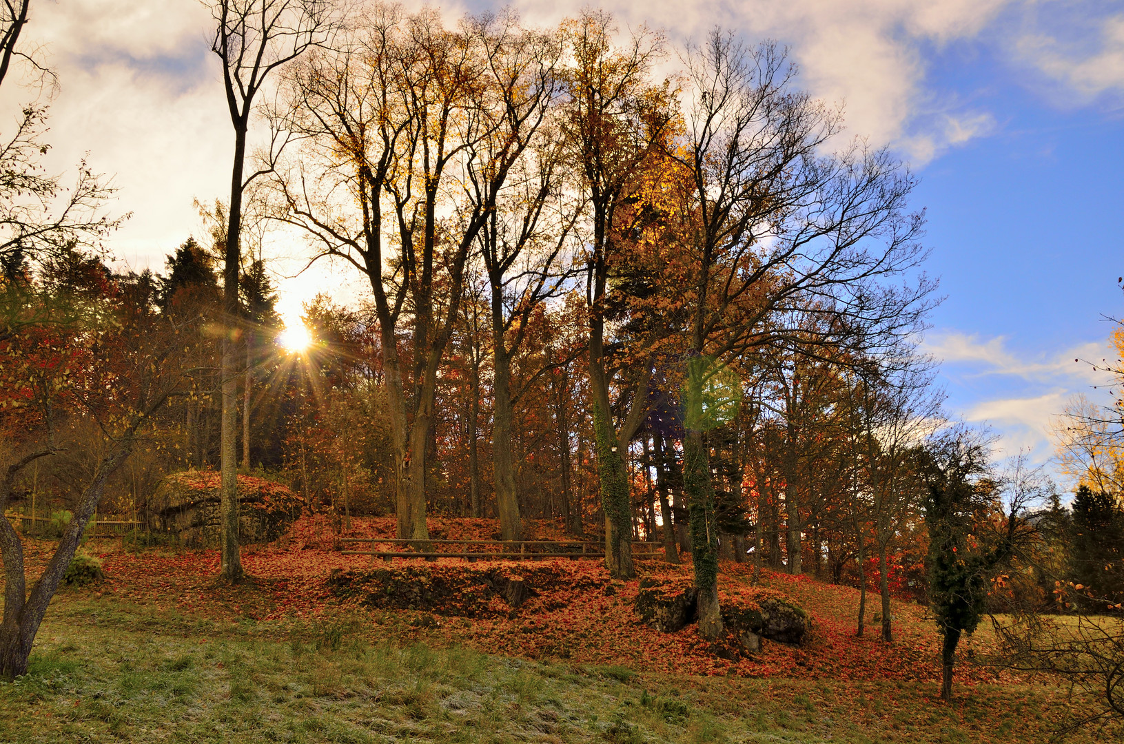 Blättermeer am Burgberg der Burg Rappottenstein im Waldviertel 03