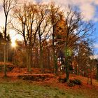 Blättermeer am Burgberg der Burg Rappottenstein im Waldviertel 03