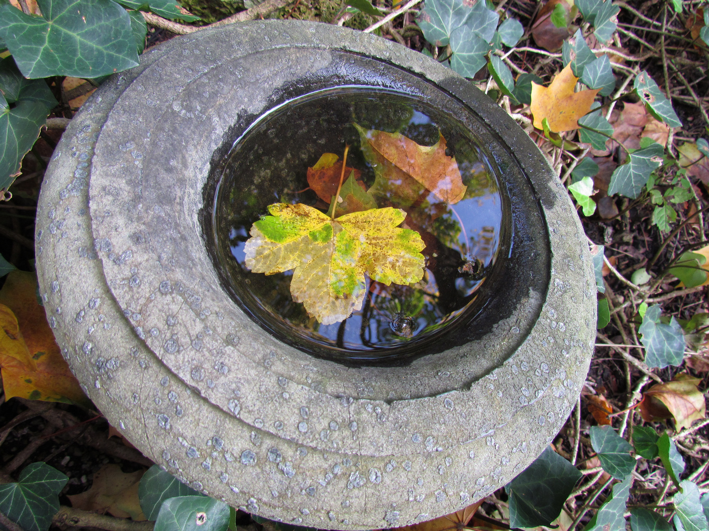 Blättermotiv Herbst