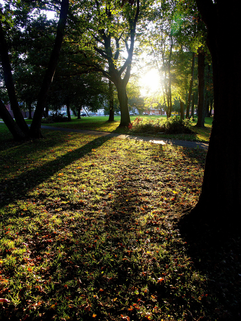 Blätterpark