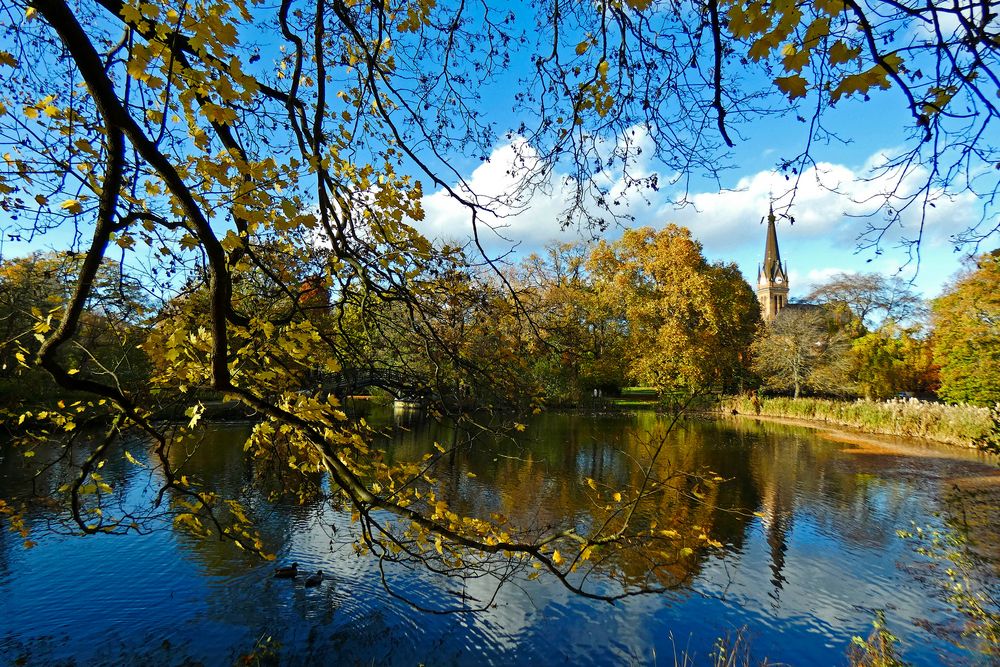 Blätterrauschen am See