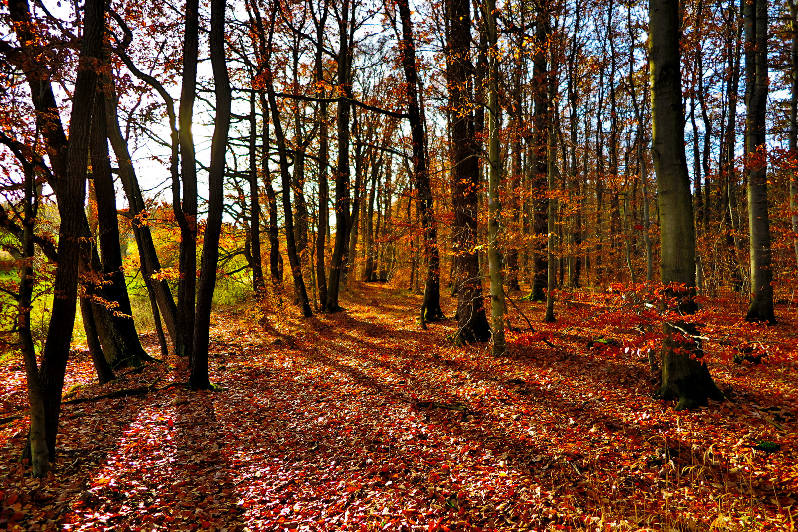 Blätterrauschen