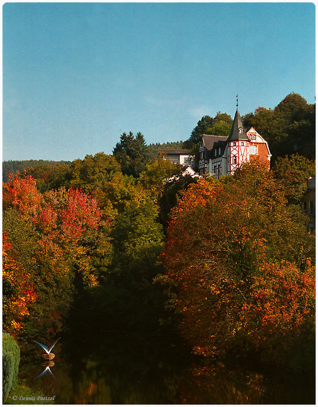 Blätterrauschen in Gemünd