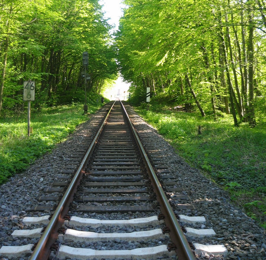 Blättertunnel