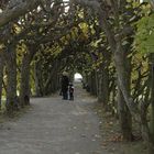 Blättertunnel am Dachauer Schloss